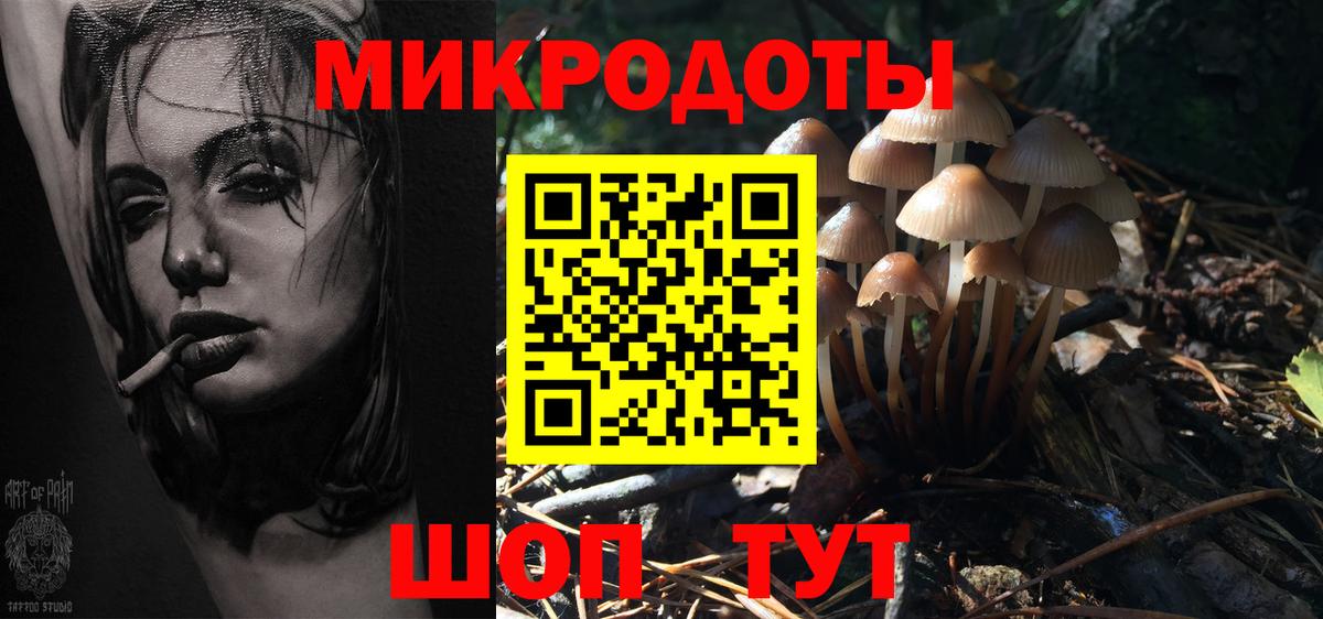 Галлюциногенные грибы Cubensis Асбест
