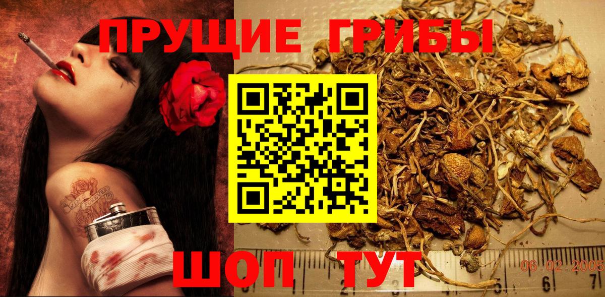 Галлюциногенные грибы мухоморы  Вход с VPN  Асбест  Галлюциногенные грибы Magic Shrooms 